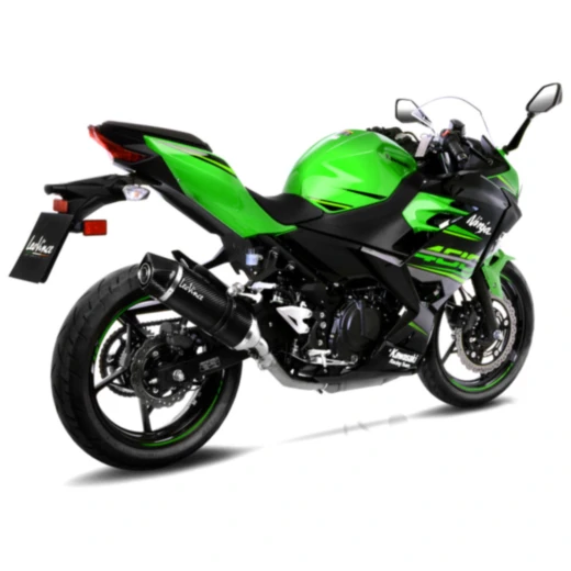Schalldämpfer SBK Carbon Lv One Slip On Evo passend für: Kawasa