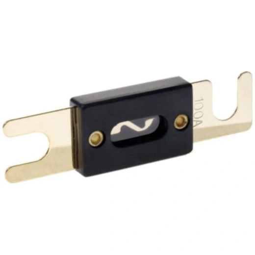 Sicherung ANL 100A 82x20 gold