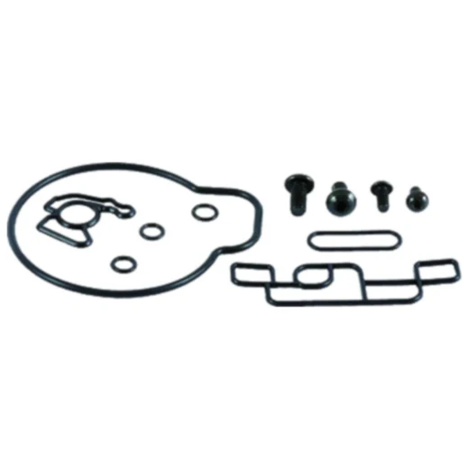 Vergaser Reparatursatz für Motorräder 7241982
