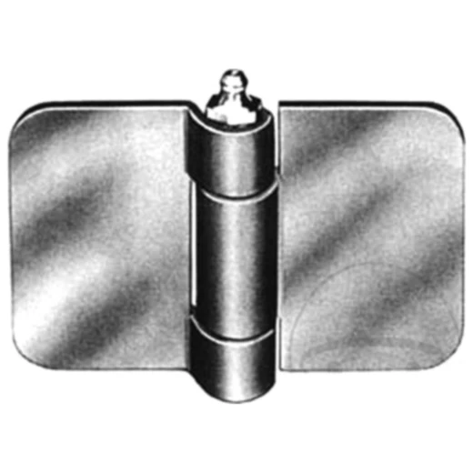 Scharnier für Tür 50/50 mm verzinkt