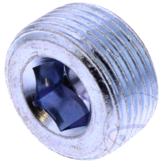 Ölablassschraube M22x1,5 für ALFA ROMEO und FIAT