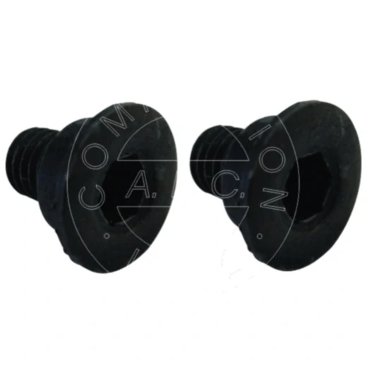 Bremsscheibenschrauben Kit für Motorräder 2 Stück