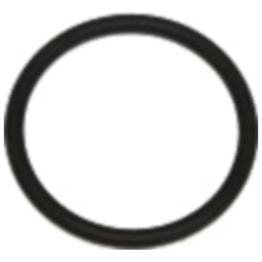 Dichtring FPM 16X19X1.5 für Chevrolet