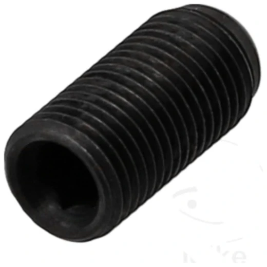 Einstellschraube M12 X 1.25 mm für: AUDI, VW