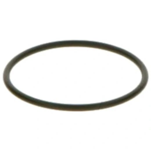 Dichtring Einspritzsystem