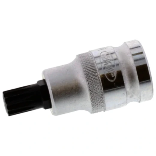 Einsatz Vielzahn 1/2 Zoll M10 - 55 mm