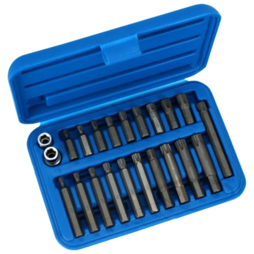 Bit-Satz RIBE 22-teilig für Keilnutschrauben M5-M14