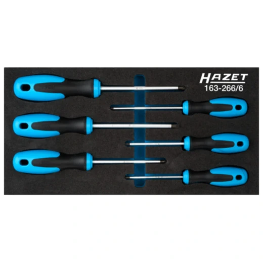 Werkzeugsatz in Einlage für Schraubendreher 6-teilig Hazet