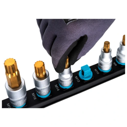 AUFSTECKLEISTE 1/2Z leer magnetisch kurz für Werkzeugaufbewahru