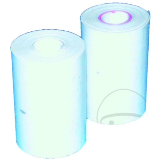 Druckerpapierrollen 2 Stück für DBP 03P und MBT301