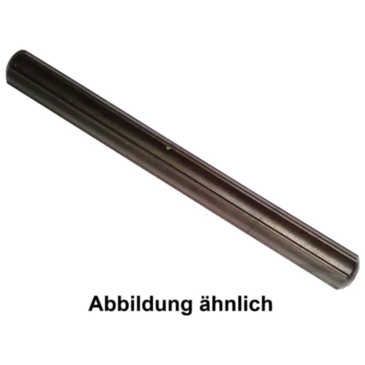 Profilstift 4.8 mm für Schraubenausdreher-Satz