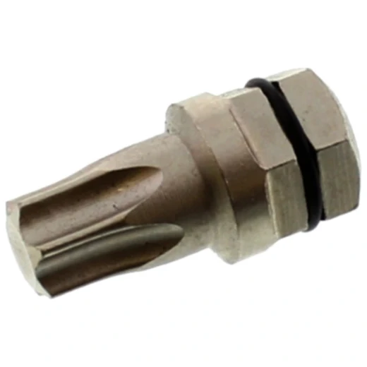 Bit Torx T45 für 6320005