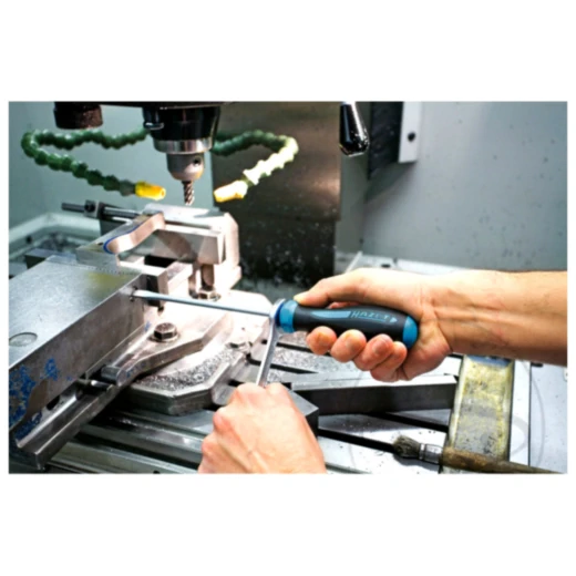 Schraubendrehersatz 10-teilig HAZET HEXAnamic®_0