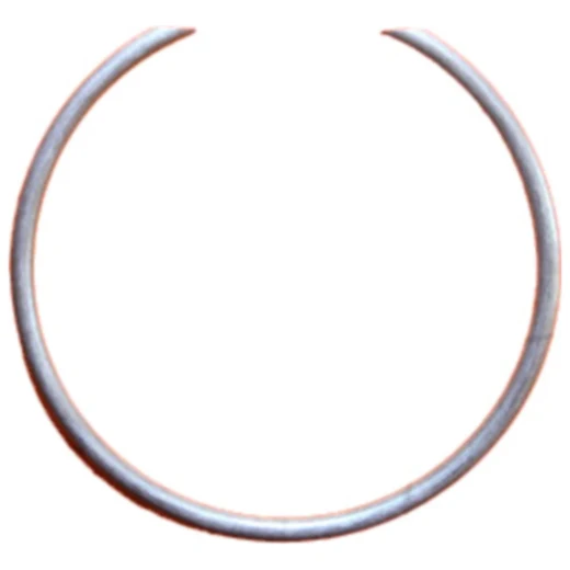 Sprengring für Twin Ram Becker 158710