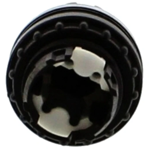 WAHLTASTE Nussbaum für LICHT CLT 990446