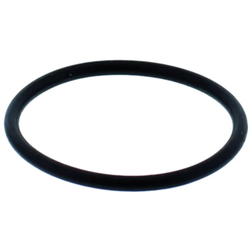 O-Ring für Nussbaum Kolben
