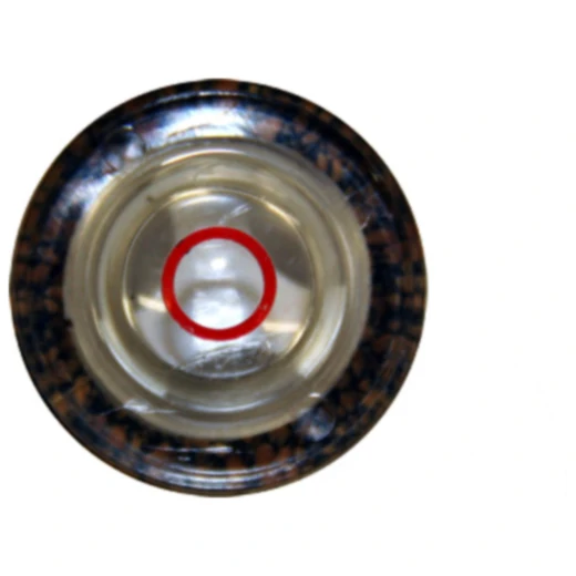 Ölstandsauge 1/2 Zoll für Blitz Kompressoren