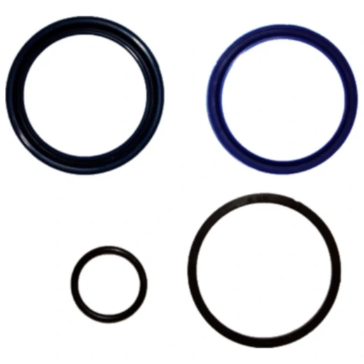 Dichtsatz für BIKELIFT 350/500 60 mm DRM
