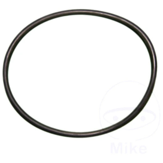 O-Ring für Nussbaum Stempelabdichtung 172 mm