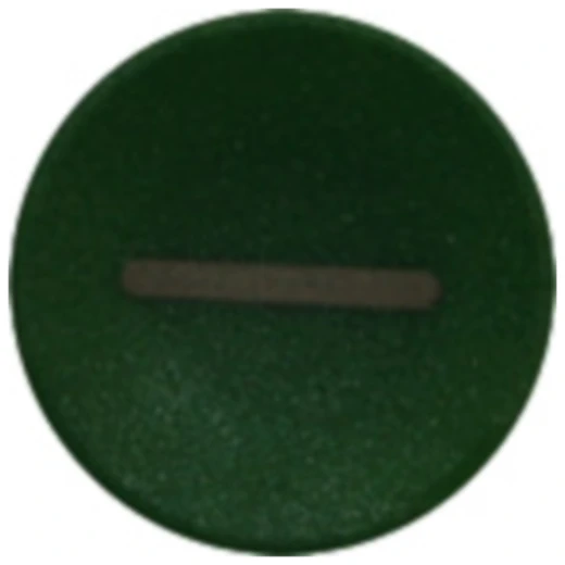 Tastenschild Start grün für Nussbaum 991045