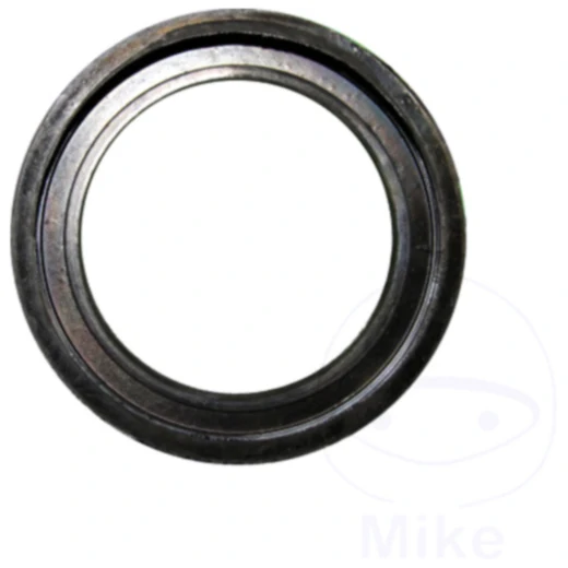 Felgenschutzring für UECKBECHER Butler BU 248