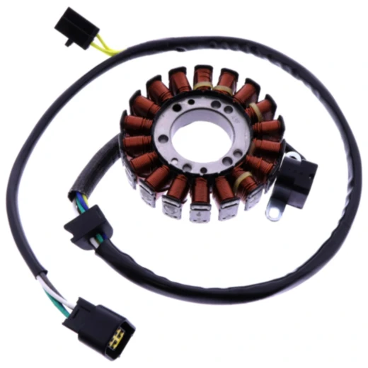 Lichtmaschinenstator für Tourmax 7000367
