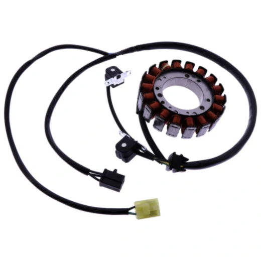 Lichtmaschinen Stator für Motorräder Tourmax
