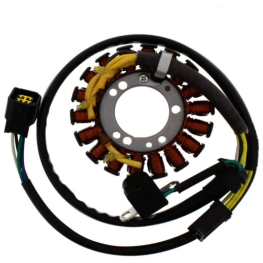 Lichtmaschinen Stator für Tourmax 7000603