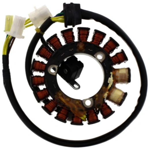 Lichtmaschinenstator für Tourmax