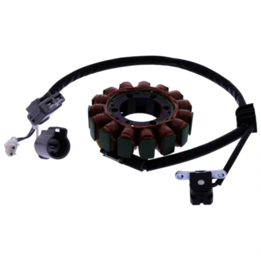 Lichtmaschinenstator für Tourmax 7003635