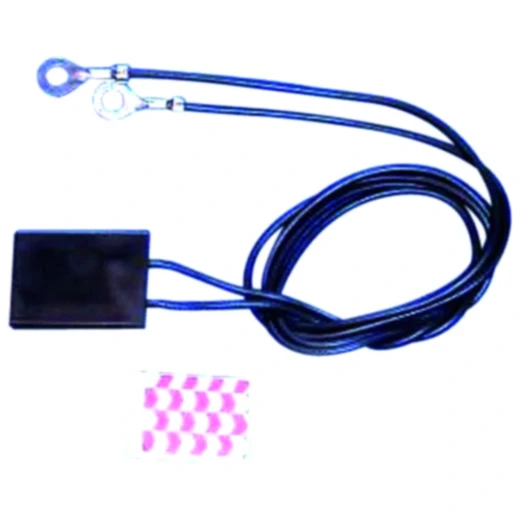 Elektronik Protector 12V für Fahrzeuge