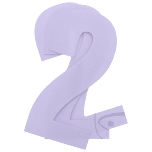 Startnummern NR.2 Black Bird Racing für Motorräder