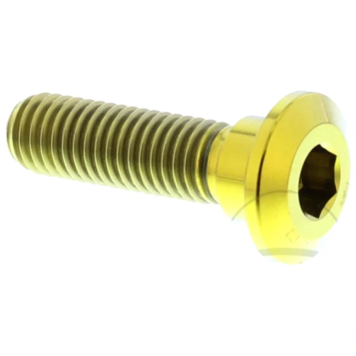 Schraube Bremsscheibe JMP Bolt M8X1. 25 mm 30 mm Titan gold passend für: Kawasaki Z, VN, ZZR