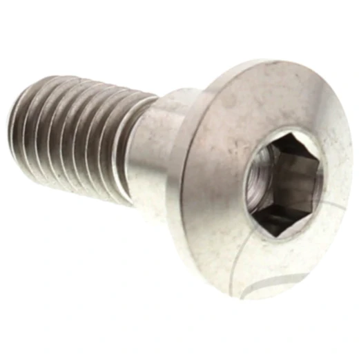 Schraube Bremsscheibe JMP Bolt M8X1. 25 mm 22 mm Titan passend für: Suzuki AN, LT - A, UH