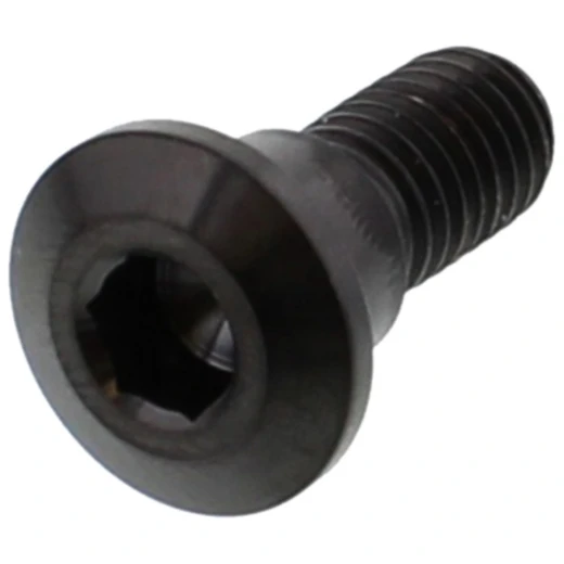 Schraube Bremsscheibe M8X1. 25 mm 22 mm Titan schwarz passend für: Suzuki AN, LT - A, UH