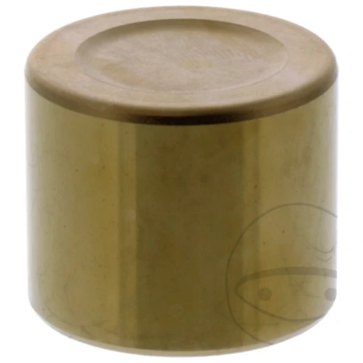 Bremssattelkolben Tourmax passend für: Honda VTR, CB, CBR