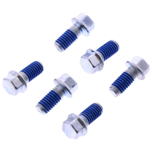 Schraube Bremsscheibe Satz EBC 6 Stück passend für: Beta RR, Xtrainer, RX