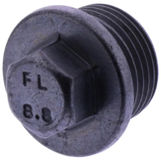 Verschlussschraube (Originalersatzteil)_0