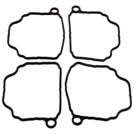 Schwimmerkammerdichtung für Tourmax – 4 Stück