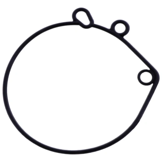 Schwimmerkammerdichtung für Motorräder