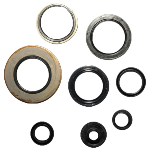 Wellendichtring Satz für den Motor