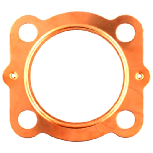 Zylinderkopfdichtung für Offroad-Motorräder 7341923