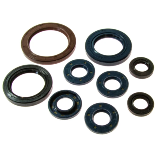 Wellendichtring Satz für Motoren 7342064