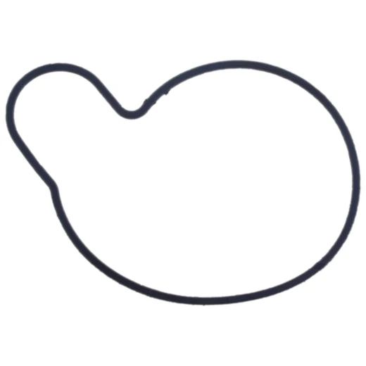 Wasserpumpendichtung für On- und Offroad-Motorräder