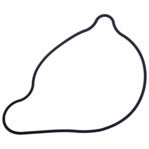 Wasserpumpe Dichtung für On- und Offroad-Motorräder