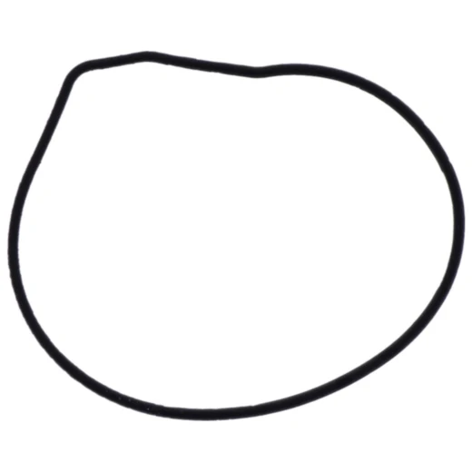 Wasserpumpendichtung für Motorräder 7342089