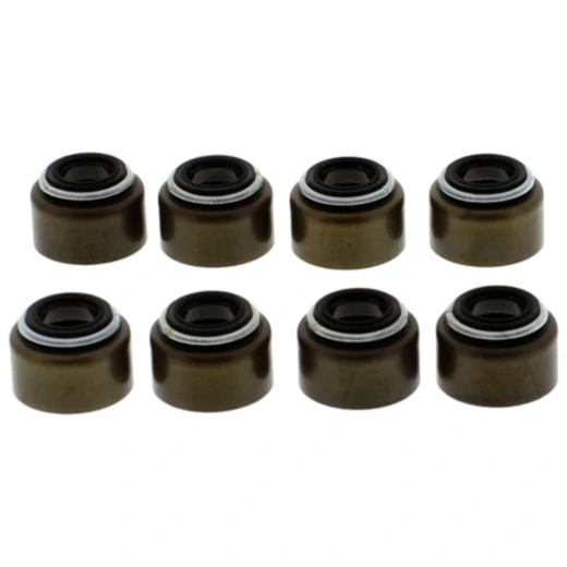 Ventilschaftdichtung Satz für verschiedene Motorräder