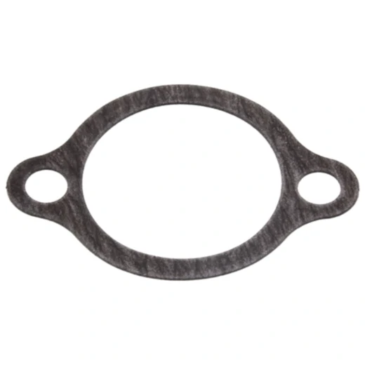 Steuerkettenspanner Dichtung – Originalersatzteil