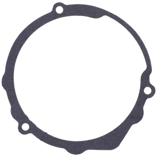 Lichtmaschinendeckeldichtung für Motorräder 7343631