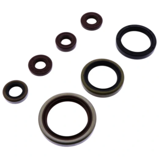Wellendichtring Satz Athena passend für: Sherco SE
